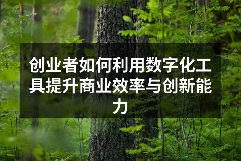 创业者如何利用数字化工具提升商业效率与创新能力