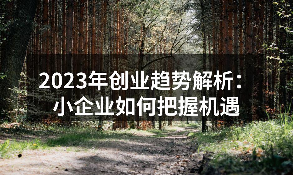 2023年创业趋势解析：小企业如何把握机遇